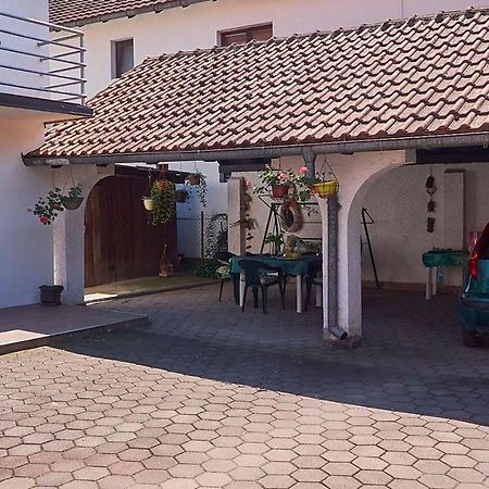 Milica Villa Banja Koviljača Kültér fotó